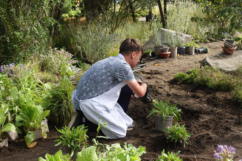 DSC06457 kings trust garden 1